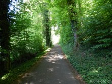 DSCN0181