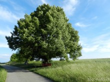 DSCN0230