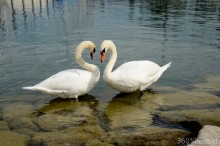 _DSC0396_edited