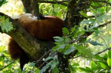 _DSC0840_edited_cut